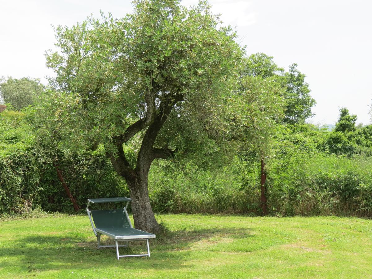 Agriturismo Borgo Del Papa Pensionat Badia  Eksteriør billede